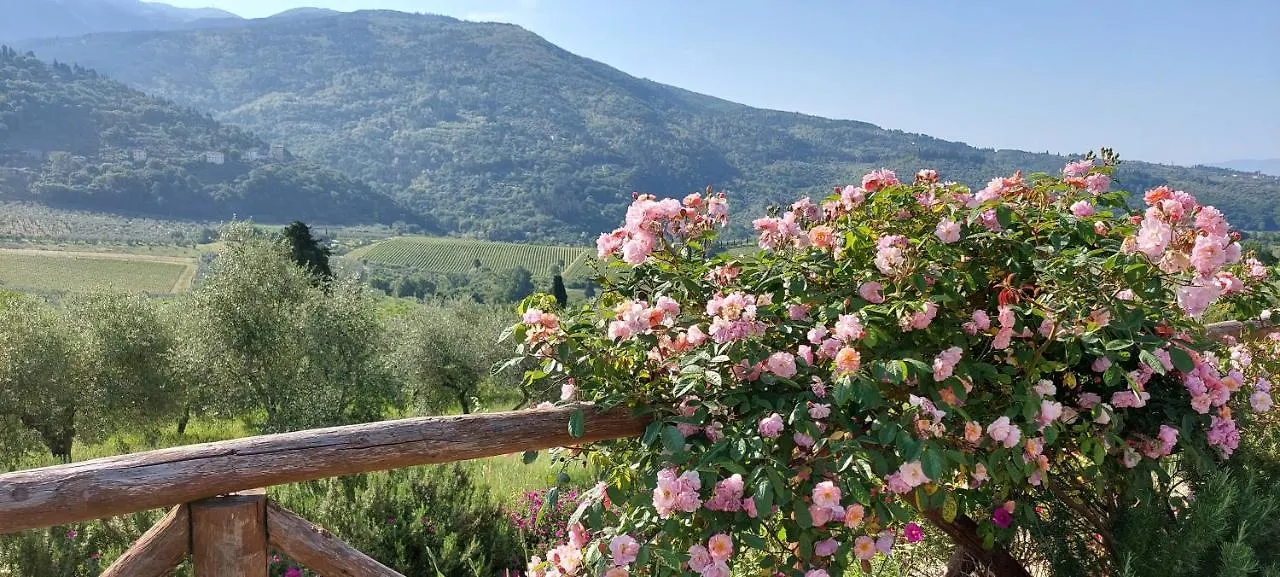 Villa La Fornella dell'Anita Pelago 0*,  Italia