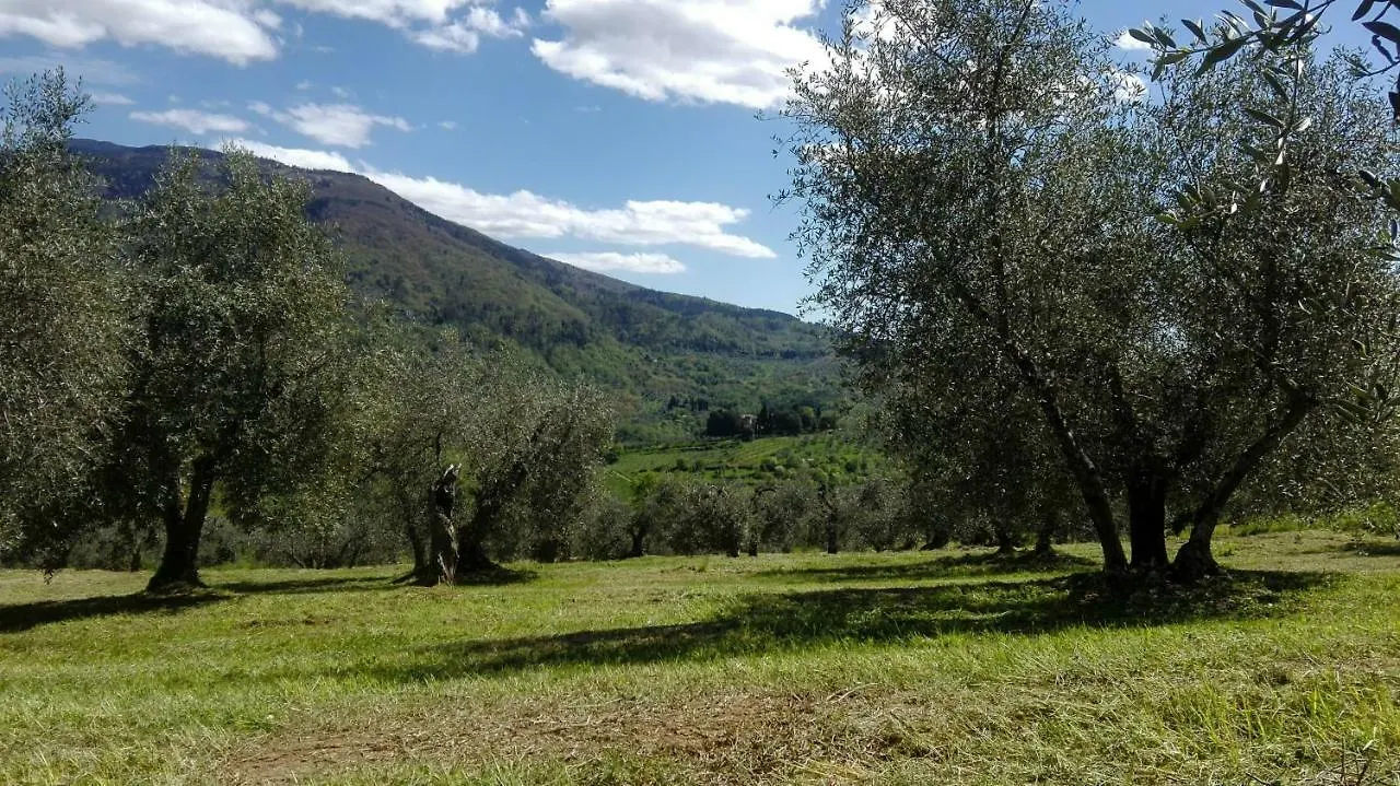 La Fornella Dell'Anita Villa Pelago Farm stay