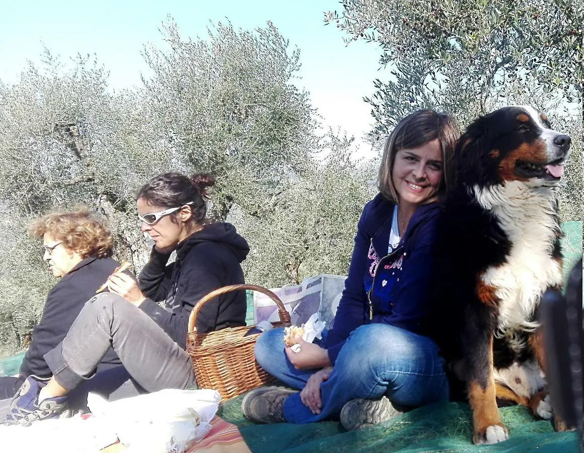 Farm stay La Fornella Dell'Anita Villa Pelago
